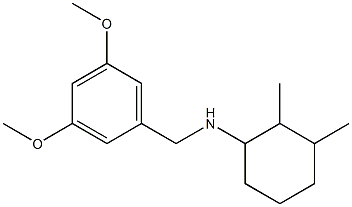 N-[(3,5-dimethoxyphenyl)methyl]-2,3-dimethylcyclohexan-1-amine Struktur