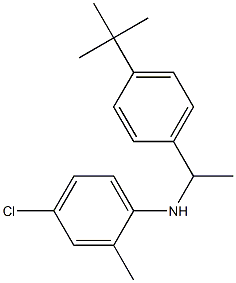 N-[1-(4-tert-butylphenyl)ethyl]-4-chloro-2-methylaniline Struktur