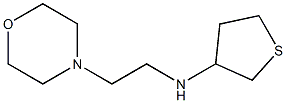 N-[2-(morpholin-4-yl)ethyl]thiolan-3-amine Struktur