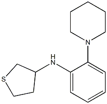 N-[2-(piperidin-1-yl)phenyl]thiolan-3-amine Struktur