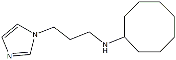 N-[3-(1H-imidazol-1-yl)propyl]cyclooctanamine Struktur