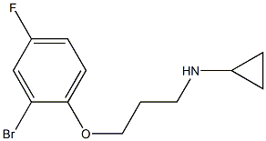 N-[3-(2-bromo-4-fluorophenoxy)propyl]cyclopropanamine Struktur