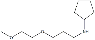 N-[3-(2-methoxyethoxy)propyl]cyclopentanamine Struktur