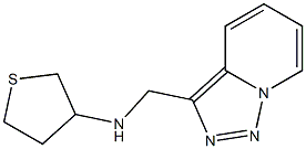 N-{[1,2,4]triazolo[3,4-a]pyridin-3-ylmethyl}thiolan-3-amine Struktur