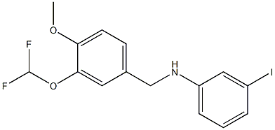 N-{[3-(difluoromethoxy)-4-methoxyphenyl]methyl}-3-iodoaniline Struktur