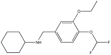 N-{[4-(difluoromethoxy)-3-ethoxyphenyl]methyl}cyclohexanamine Struktur