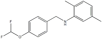 N-{[4-(difluoromethoxy)phenyl]methyl}-2,5-dimethylaniline Struktur