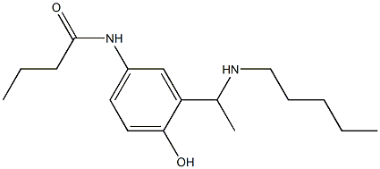 N-{4-hydroxy-3-[1-(pentylamino)ethyl]phenyl}butanamide Struktur