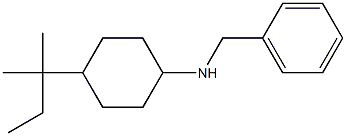 N-benzyl-4-(2-methylbutan-2-yl)cyclohexan-1-amine Struktur