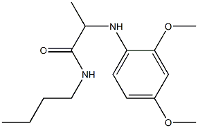 N-butyl-2-[(2,4-dimethoxyphenyl)amino]propanamide Struktur