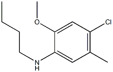 N-butyl-4-chloro-2-methoxy-5-methylaniline Struktur