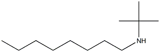 tert-butyl(octyl)amine Struktur