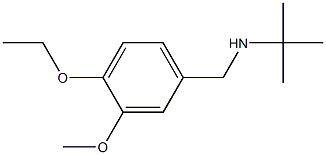 tert-butyl[(4-ethoxy-3-methoxyphenyl)methyl]amine Struktur