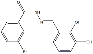 3-bromo-N'-[(E)-(2,3-dihydroxyphenyl)methylidene]benzohydrazide Struktur