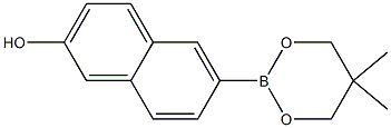 6-(5,5-Dimethyl-1,3,2-dioxaborinan-2-yl)-2-naphthol Struktur