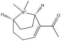 (1R,6R)-2-Acetyl-9,9-dimethyl-9-azoniabicyclo[4.2.1]non-2-ene Struktur