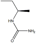 [R,(-)]-sec-Butylurea Struktur