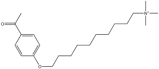 Trimethyl[10-[(4-acetylphenyl)oxy]decyl]aminium Struktur