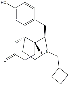 17-Cyclobutylmethyl-3-hydroxymorphinan-6-one Struktur