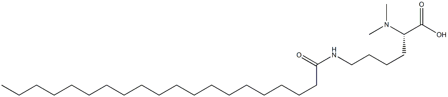 N6-Icosanoyl-N2,N2-dimethyllysine Struktur