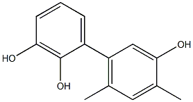 4',6'-Dimethyl-1,1'-biphenyl-2,3,3'-triol Struktur