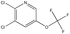 5,6-Dichloro-3-(trifluoromethoxy)pyridine Struktur