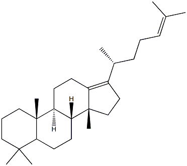 Dammara-13(17),24-diene Struktur