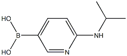 6-(isopropylamino)pyridin-3-ylboronic acid Struktur