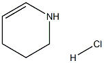 1,2,3,4-tetrahydropyridine hydrochloride Struktur