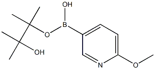 6-methoxypyridin-3-ylboronic acid pinacol ester Struktur