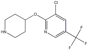 3-chloro-2-(piperidin-4-yloxy)-5-(trifluoromethyl)pyridine Struktur