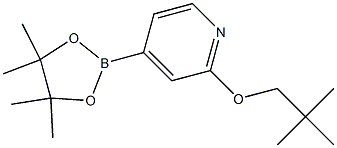 4-(4,4,5,5-tetramethyl-1,3,2-dioxaborolan-2-yl)-2-(neopentyloxy)pyridine Struktur