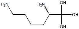 Lysine acetal Struktur