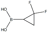 2,2-Difluoro-cyclopropaneboronic acid Struktur