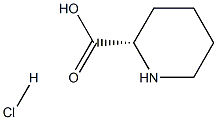 (S)-Piperidine-2-CarboxylicAcidcl Struktur