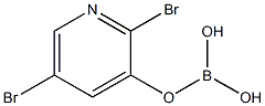 2,5-DIBROMOPYRIDINE-3-BOROICACID Struktur