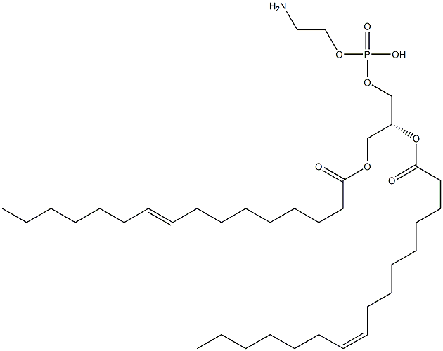 1,2-di-(9Z-hexadecenoyl)-sn-glycero-3-phosphoethanolamine Struktur