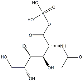 N-Acetyl-D-galactosamine 1-phosphate Struktur