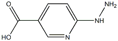 6-hydrazinopyridine-3-carboxylic acid Struktur