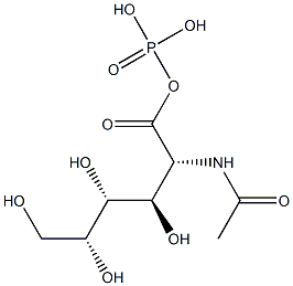 N-acetylgalactosamine-1-phosphate Struktur