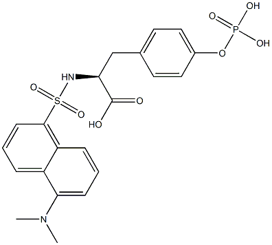 N-(5-(dimethylamino)naphthylsulfonyl)phosphotyrosine Struktur