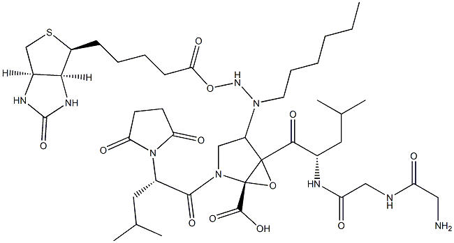 biotin-aminohexylamino-glycyl-glycyl-leucyl-epoxysuccinyl-leucyl-proline Struktur