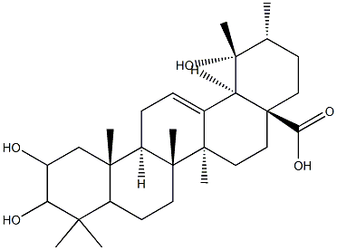 2,3,19-trihydroxy-12-ursen-28-oic acid Struktur