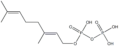 6,7-DIHYDROGERANIOLPYROPHOSPHATE Struktur