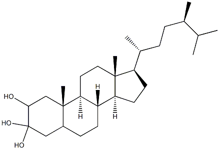 CAMPESTANETRIOL Struktur