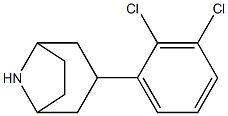 3-(2,3-dichlorophenyl)-8-azabicyclo[3.2.1]octane Struktur