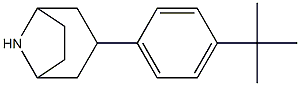 3-(4-tert-butylphenyl)-8-azabicyclo[3.2.1]octane Struktur