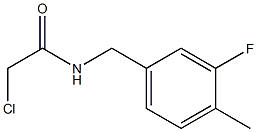 2-CHLORO-N-(3-FLUORO-4-METHYLBENZYL)ACETAMIDE Struktur