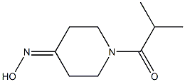 1-ISOBUTYRYLPIPERIDIN-4-ONE OXIME Struktur