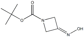 1-BOC-3-AZETIDINONE OXIME Struktur